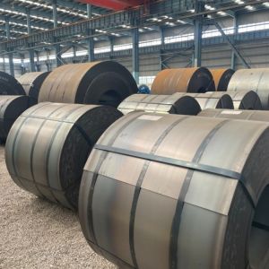 Hot Rolled Technique and ASTM Standard Cold Rolled Steel Any Length As Per Your Request