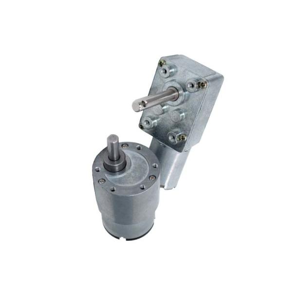 Quality 12 Volt Worm Gear Motor DC Micro 1/65 For Home Applications wholesale