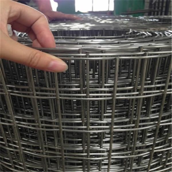 Rust Proof Galvanized 50*50mm Welded Wire Mesh Fence 1/4 Inch Hole Square Steel