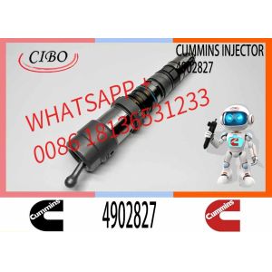 Injector Nozzle Assembly 6560-11-1114 4902827 4077076 4062090 6560-11-1110 QSK19