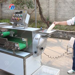 Double head vegetable cutting machine papaya chieh qua pumpkin wax gourd Ginger