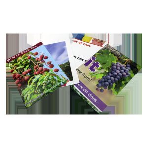 Matte Varnishing C2S Paper Travel Advertisement Poster