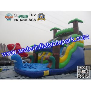 Bounce House Charming Inflatable Slide , Kids Inflatable Water Slides Pool