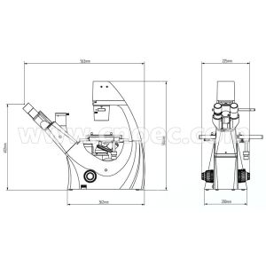 300X Laboratory Phase Contrast Microscope Halogen Lamp , Rohs CE A19.0205