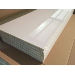 China PVC Panel Moisture Resistance and Fire Resistance for Safety on sale