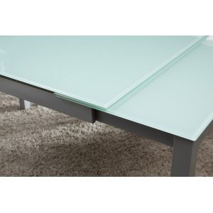 700mm Fashionable Extendable Glass Dining Table Lightweight With Iron Frame