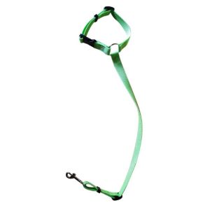 Adjustable Dog Seat Belt Collars Harness Restraint With Elastic Bungee Buffer