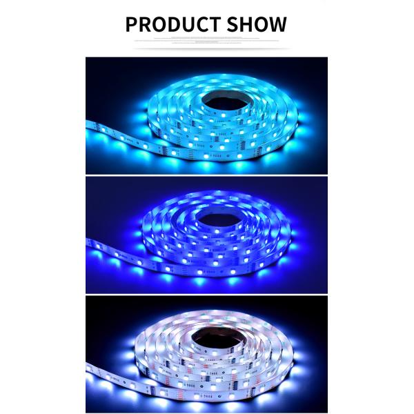 6W UCS DMX512-16 463nm SMD 5050 LED Strip Light 30leds/M