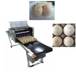 Automatic Egg Jet Coding Machine With Non - Toxic Environmental Protection Ink