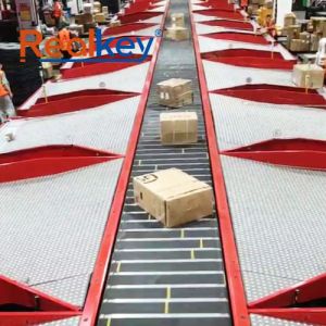 China High Efficiency Package Sorting Equipment Long Lifespan Warehouse Sorting System on sale China High Efficiency Package Sorting Equipment Long Lifespan Warehouse Sorting System on sale