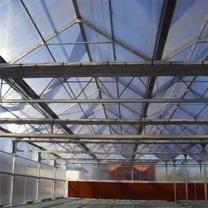 Super Strong Resistance 8mm Polycarbonate Covering Multi-Span Greenhouse for