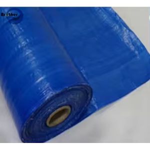 Custom Polyethylene Tarpaulin Manufacturer Poly Tarp PE Tarpaulin With Eyelets