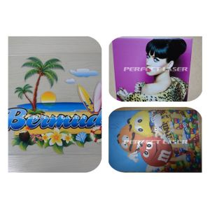 2019 New Multi-function UV Ink Fatbed Printer for Leather and Plastic Printing