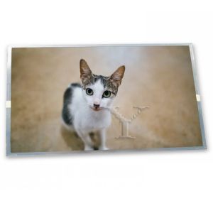 China A-Si TFT-LCD 10.4 Inch 800(RGB)*600 Online One-stop Shopping TX26D200VM5BAA Good Price Lcd Display on sale