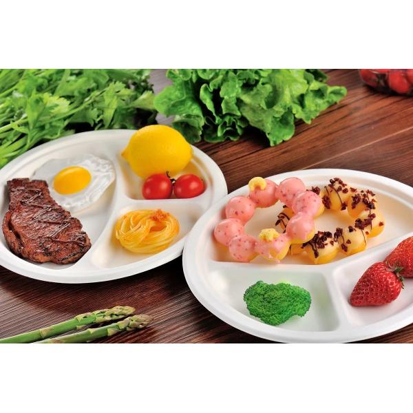 Quality Disposable Tableware Biodegradable Sugarcane Bagasse Plates Refrigerator Wedding wholesale