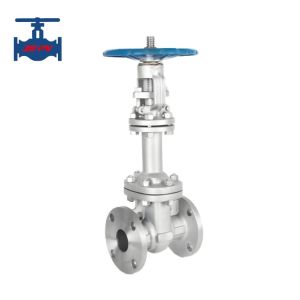 Two Way Flow DIN Stainless Steel Bellows Globe Valve for General Applications