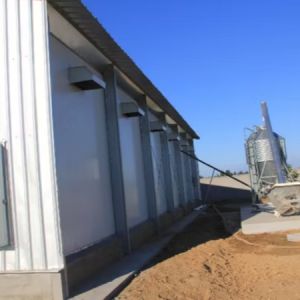 Light Weight Steel Structure Chicken House Customized Size / Color