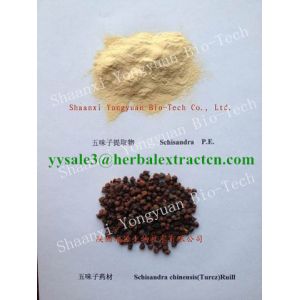 Wolfberry(Goji Berry) Extract, polysaccharide 40%, regulates immune system