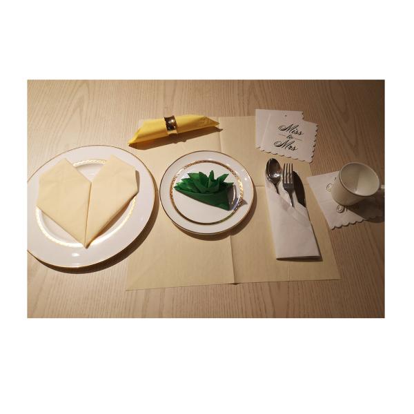 Solid Color Paper Party 2ply Napkins 33x33cm Eco Friendly Biodegradable