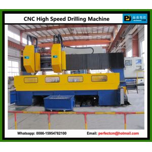 Multi Spindles CNC Drilling Machine for Tube Sheet / Plate (Model PHD6060-4)