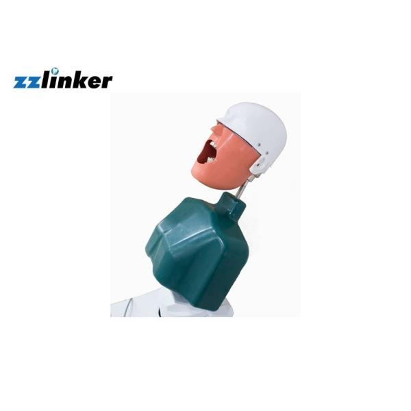 Quality Dental Simulator Unit Teaching System Phantom Head Model with Body for Students wholesale