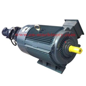 AC/DC Synchronous Generator Motor for Crane(CE, TUV, SGS) INVERTER DUTY MOTOR