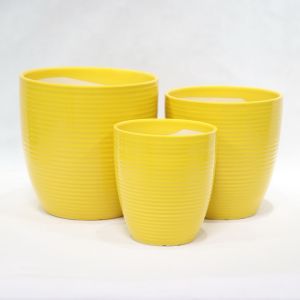 Stunning Plant Display With Our Ceramic Pots Various Sizes Available Ceramic