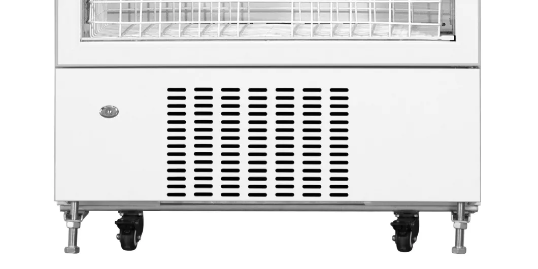 Large Capacity 415L Vertical Stand Medical Pharmacy Vaccine Refrigerator 2-8 Degrees