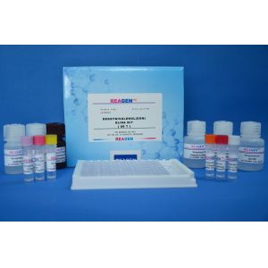 Drug Testing Gentamicin ELISA Test Kit High Recovery Reagent Type 0.02ppb