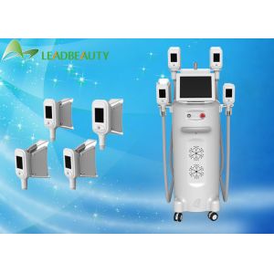 CE / FDA approved 4 cryo handles weight loss fat reduction cool fat freeze sculpting cryolipolysis machine price