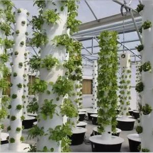 Durable Soilless Hydroponic System Vertical Custom 12 Layers Grow Tower For