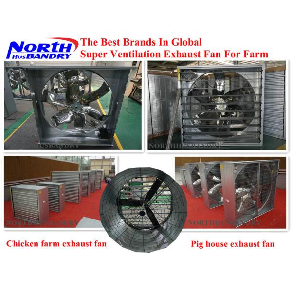 Quality Poultry Equipment Centrifugal Exhaust Fans | Poultry Cone Centrifugal Exhaust Fans wholesale