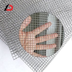 1/2 X 1 1 X 1 Hot Dip Welded Galvanized Iron Wire Mesh 16 Gauge Electro Square