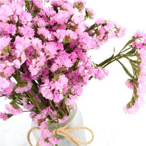 Fashion Style Beautiful Dried Flowers Statice Limonium Forget Me Not