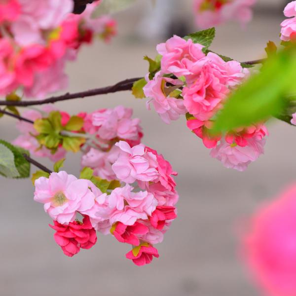 250cm Plastic Artificial Cherry Blossom Tree Decoration Plant For Reception Center