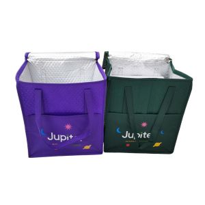 Customized Medical Cold Chain Cooler Shipping Container Bag with Temperature