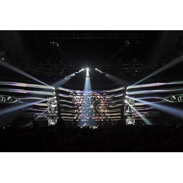 Rear Projection Screen Holographic Projection System 9.5x50m Holotronica Holo