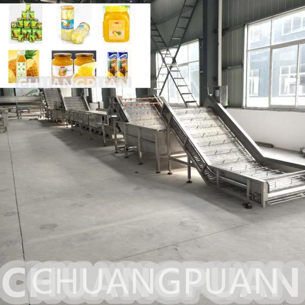 History More Than 10 Years Automatic Control Raw Pineapple Juice Pulp Processing
