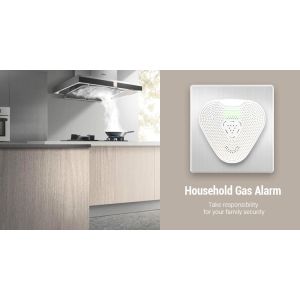 Intelligent Smart Design Home Gas Detector National 3C Certification , Plug In
