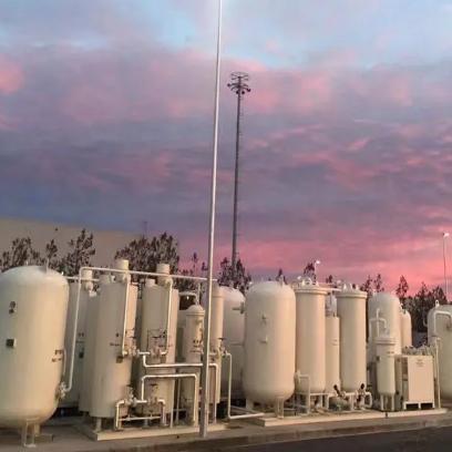 Quality Customized VPSA Oxygen Generator with 1-10 bar Pressure Range and 1 Year Warranty for Industrial Use wholesale