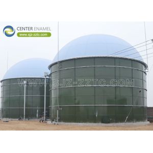 China Center Enamel Can Provide CSTR Reactor for Nepal Biogas Project on sale