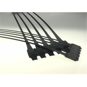 Reinforce Foundations Black Polypropylene Uniaxial Plastic Geogrid
