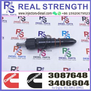 M11 ISM11 QSM11 Cummins Diesel Injector Engine Fuel Injection 3406604 3087648