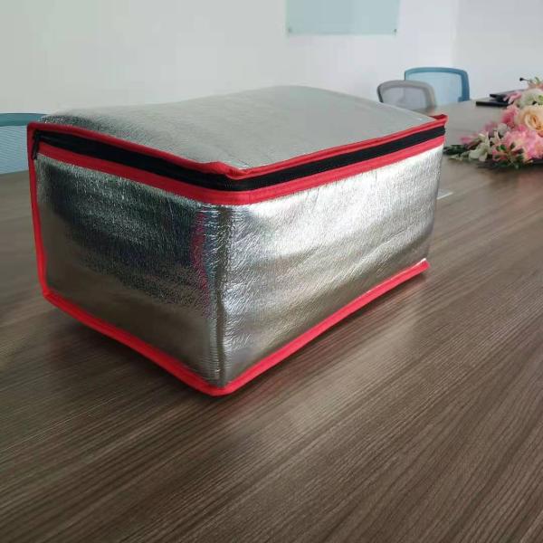 Food Portable Carrier Mini Cooler Bag with Thermal Design and Heavy Duty Zipper Closure