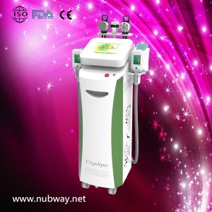 Cheap Hot Vertical amazing result best cryolipolysis slimming machine heads to losing weight for sale