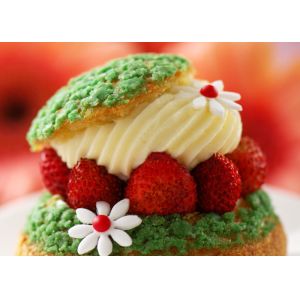 Halal Kosher Food Grade Compound Emulsifiers VIVID GMS 4008 Ice Cream Improver