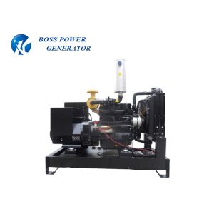 Easy Operation Heavy Duty Electric Generator Anti Vibration Low Maintenance