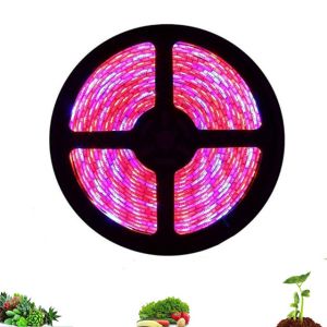 Cheap 5m Full Spectrum Red Blue 4:1 LED Flower Lights for sale