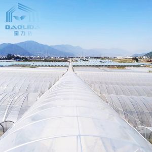 Vegetables Multispan Poly Tunnel Greenhouse With Cooling Ventilation System