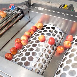 Fruit bubble washing and sorting production line Fruit Vegetable FOOD processing